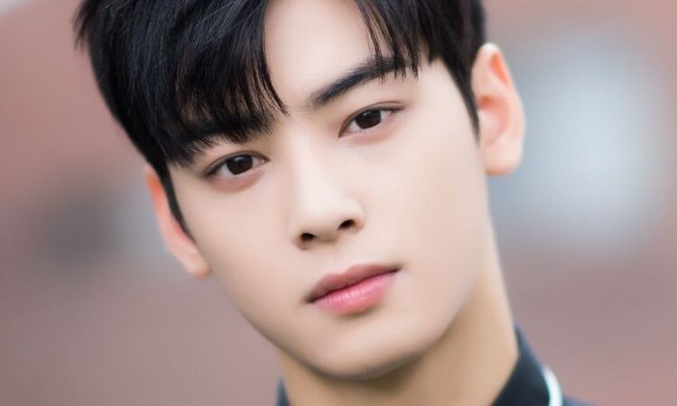 Cinco dramas Cha Eun Woo que vão roubar seu coração
