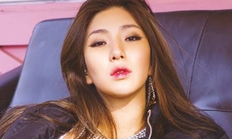 Giant Pink responde a los comentarios maliciosos que decían que se había copiado de BLACKPINK