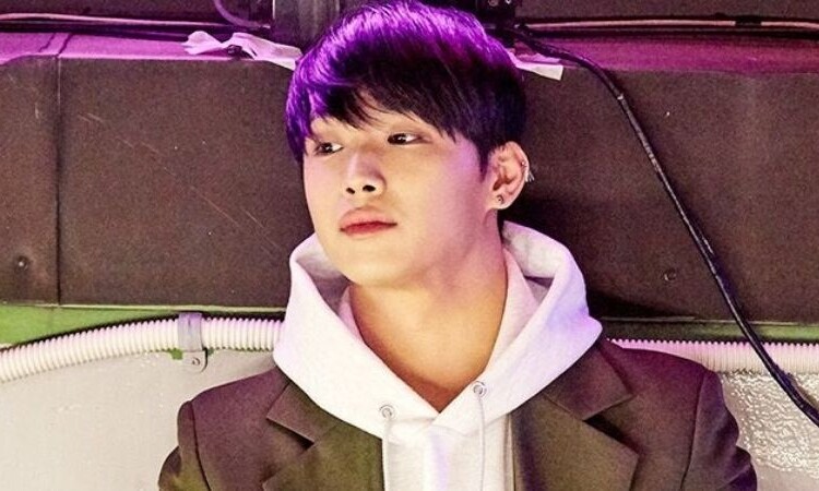 Internautas revisan el 