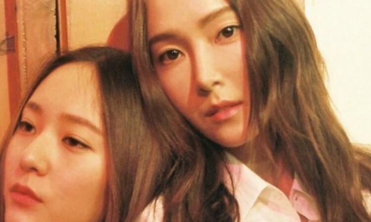 Estos hermanos ídolos de K-pop estuvieron en la misma empresa alguna vez