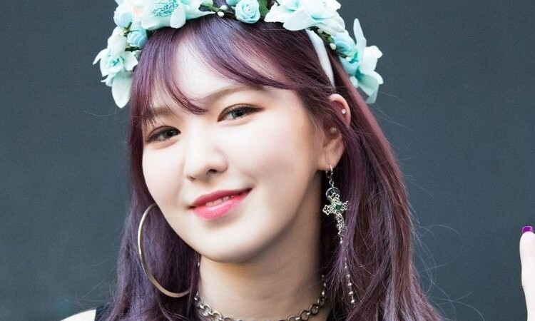 Wendy de Red Velvet acidentalmente revela o quão rica ela é