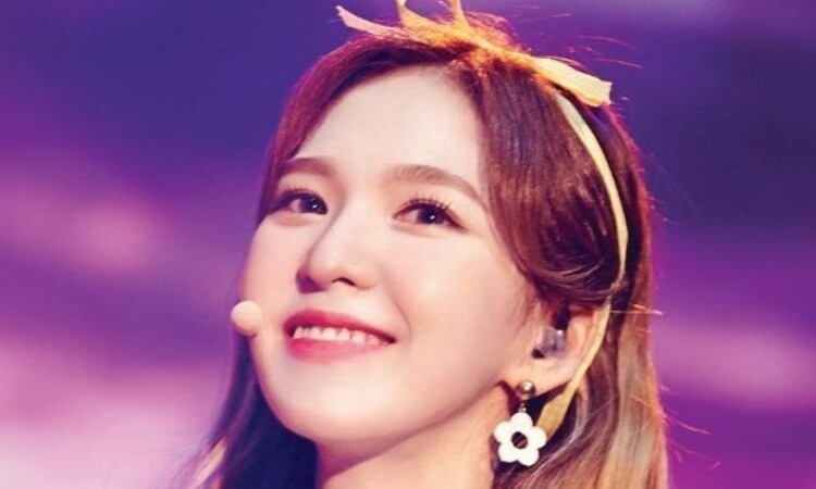 Wendy de Red Velvet participará en el programa 