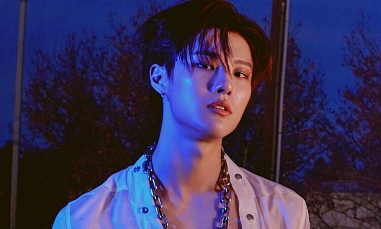 Internautas reaccionan a una divertida interacción de WOODZ con una fan