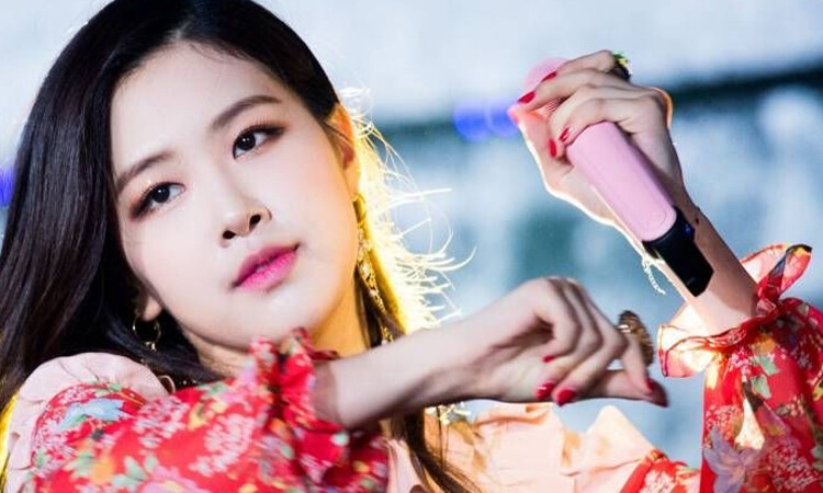 Rose BLACKPINK adotou um cachorro e BLINK aplaude o ato