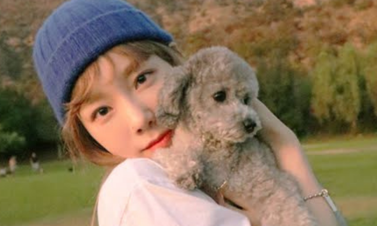El perro de Taeyeon de SNSD se convierte en multimillonario ¡Descubre por qué!
