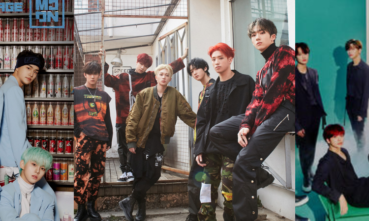 K-netizens discuten por qué algunos grupos novatos no son tan populares en Corea