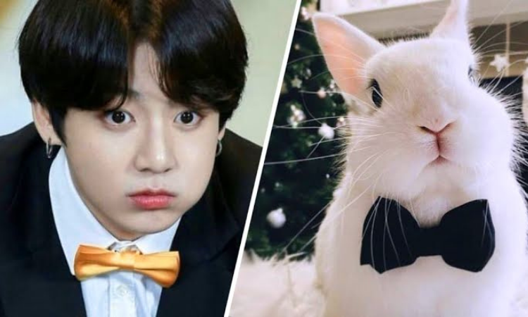 Memes de Jungkook de BTS que todo ARMY necesita