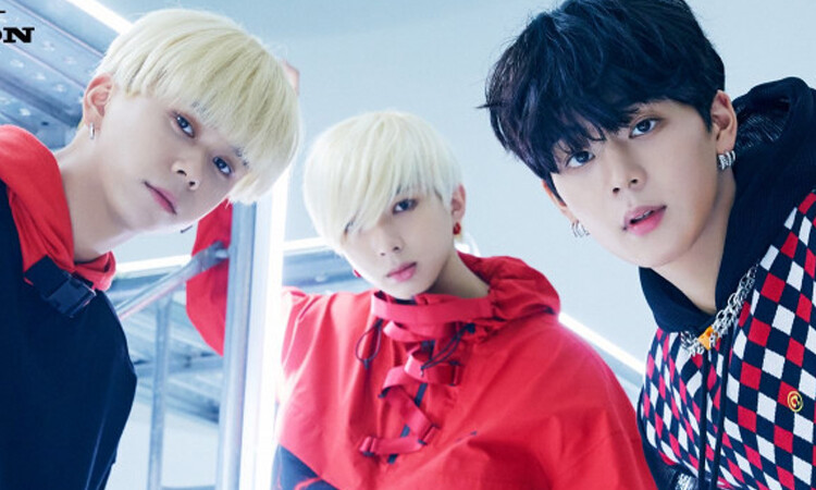 T1419 presenta fotografías por unidad para ASURABALBALTA