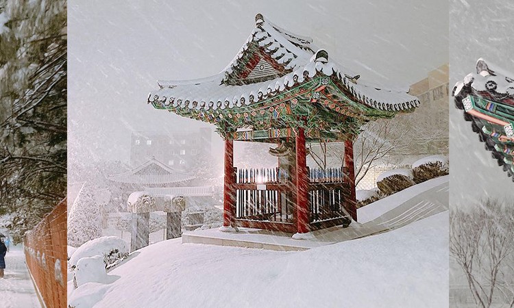 Las bellas postales que han dejado las nevadas del 2021 en Corea