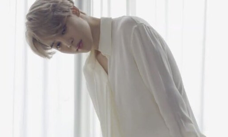 Facebook admite ser Jimin bias por esta epica respuesta