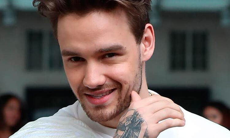 Liam Payne confirma ser un gran admirador de BTS