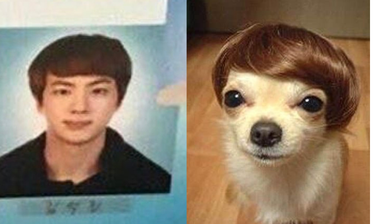 Las fotos de pasaporte de BTS se convierten en los mejores memes para ARMY