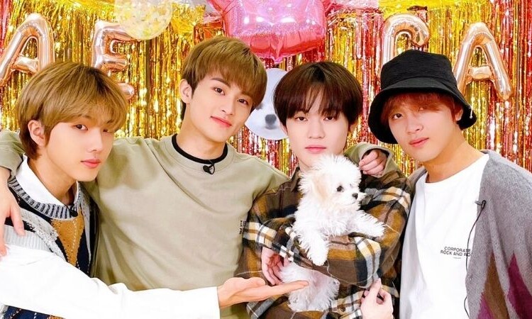 Conoce a la cachorrita que le ha robado el corazón a NCT