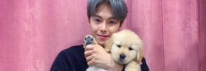 El actor Park Eun Seok acusado por realizar maltrato animal