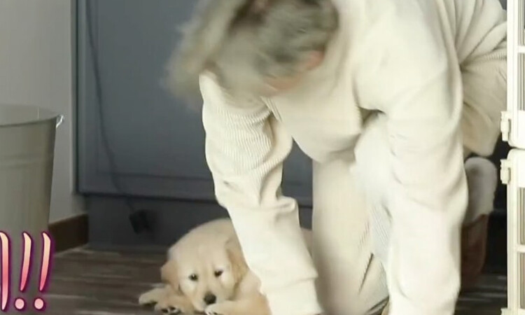 I Live Alone emitirá el episodio de Park Eun Seok luego de las controversias del maltrato animal