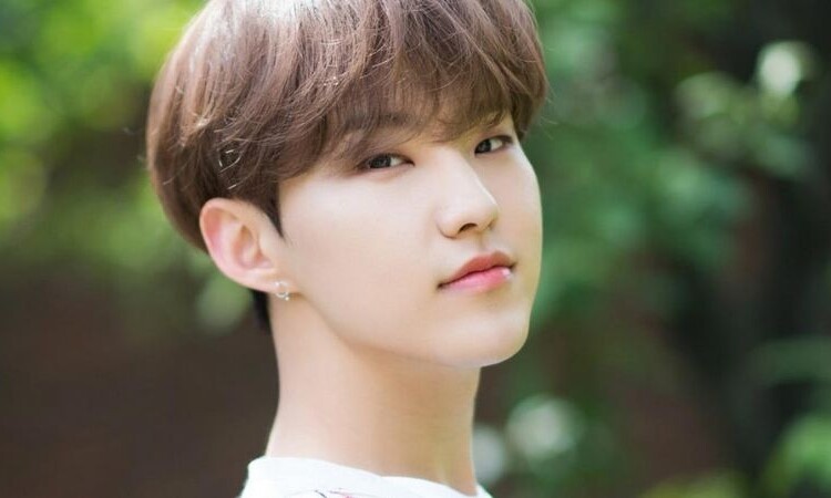 Hoshi de SEVENTEEN se pasa de copas y es lo más adorable que haz visto