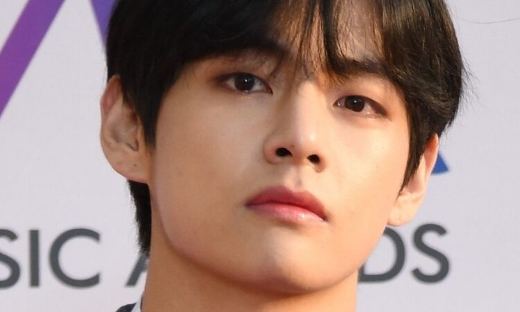 Cover de V de BTS de la canción 