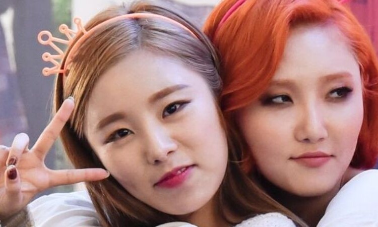 Netizens sospechan que RBW hizo una 'jugada sucia' a Wheein y Hwasa de MAMAMOO sobre la renovación de su contrato