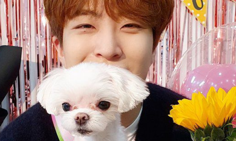 Youngjae de GOT7 está feliz en su nueva agencia, ¡Sus fans están conmovidos!