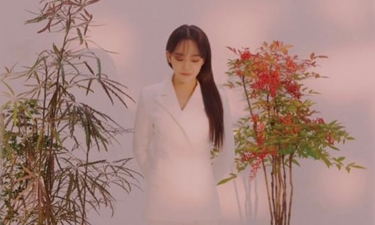 Younha anuncia la cancelación de su concierto en solitario