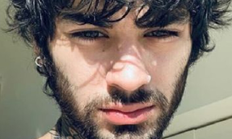 Zayn Malik pertence ao fandom V.I.P?