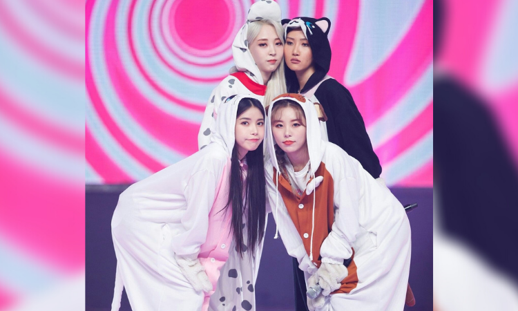 Reunión de fans: MAMAMOO revela qué esperan de ese encuentro