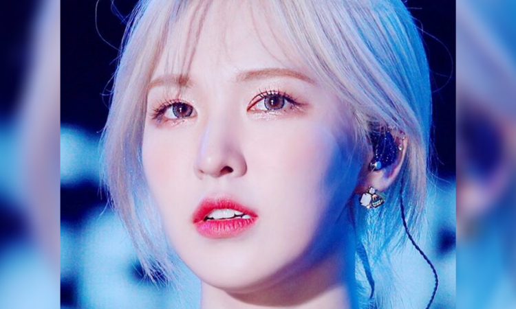 Wendy de Red Velvet: elegida como la 122 ° 'hada de la donación