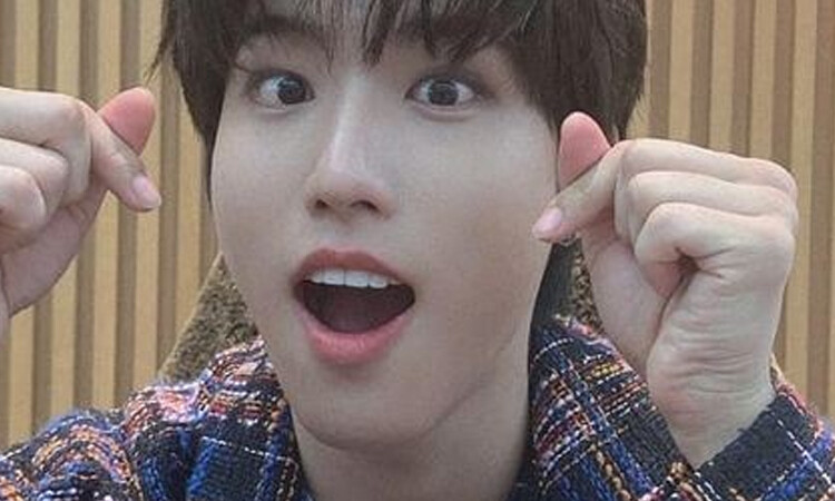 STAY muestra su apoyo a Han Jisung de STRAY KIDS tras su disculpa