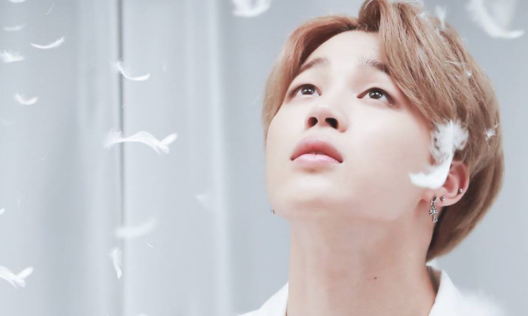 Frases de Jimin de BTS que mejorarán tu día