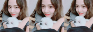 Jisoo de BLACKPINK celebra el cumpleaños de 'Dalgom', su perro maltés