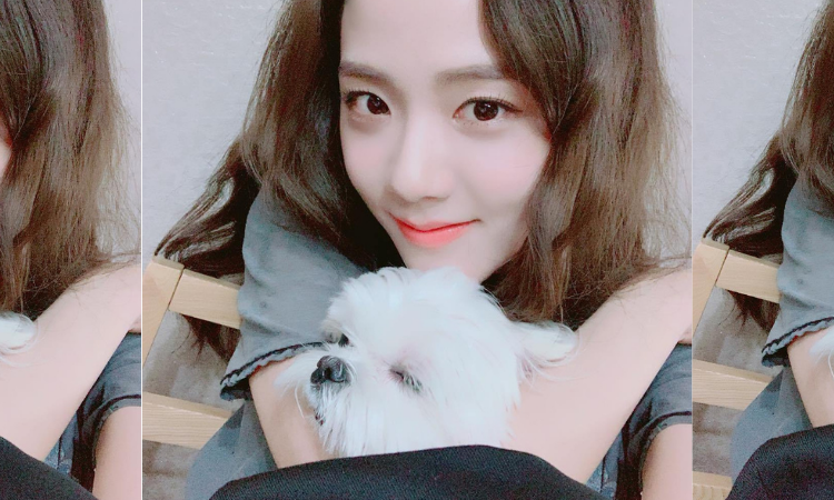 Jisoo de BLACKPINK celebra el cumpleaños de 'Dalgom', su perro maltés
