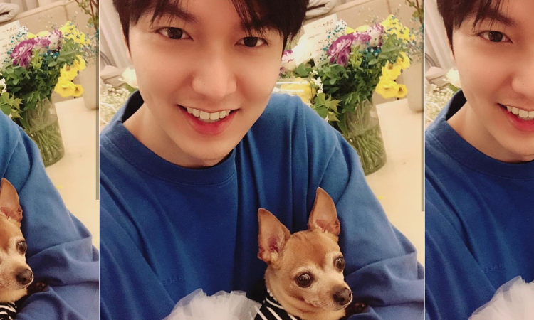 Choco, el perro de Lee Min Ho causa envidia en las redes sociales