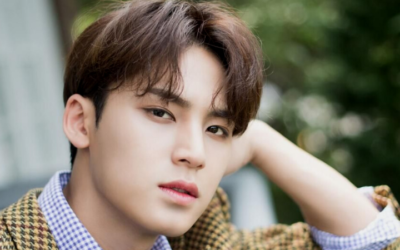 Netizens envían petición para que Mingyu abandone SEVENTEEN dada su controversia por Bullyng
