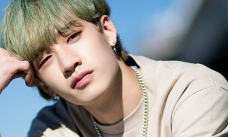 Stray Kids 'Bang Chan mostra sua admiração por MONSTA X