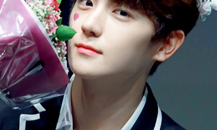 Hyunjae de THE BOYZ y Choi Yeon Soo protagonizarán un drama web