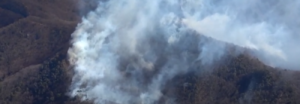 Incendio forestal quema 50 hectáreas al norte de Tokio y sigue extendiéndose