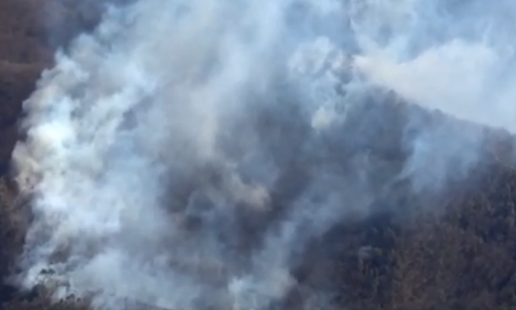Incendio forestal quema 50 hectáreas al norte de Tokio y sigue extendiéndose