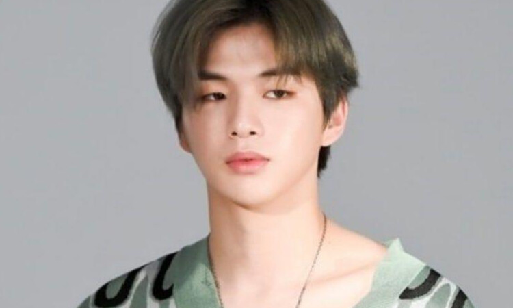 Empleado de Kang Daniel tiene una linda queja sobre su jefe