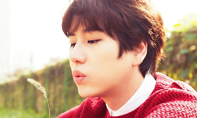 Idols que habrían salido con Kyuhyun de Super Junior