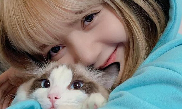 Lisa de BLACKPINK tiene un nuevo hijo felino y es adorable