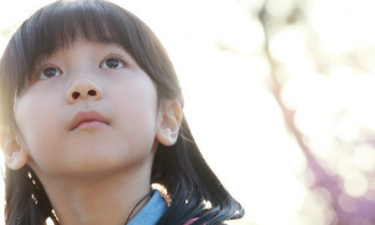 Filmes coreanos com melhor classificação na IMDb