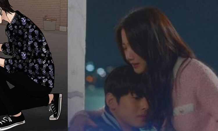 TVn no realizara una segunda temporada del dorama True Beauty