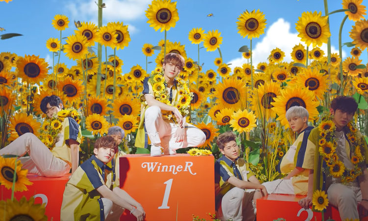 CIIPHER nos conquista con girasoles para su MV teaser debut de I Like You