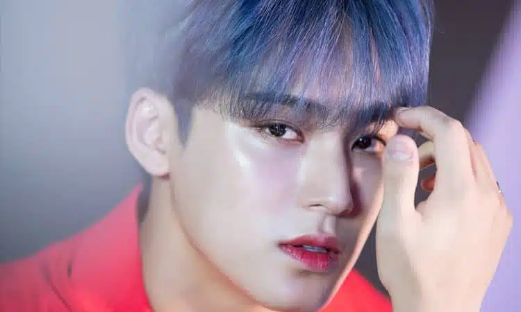 PLEDIS Entertainment actualiza el caso de Mingyu de SEVENTEEN