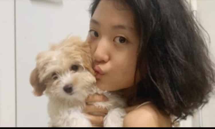 Song Hee Joon se disculpa después de que abandonó a su perro