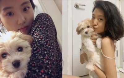 Song Hee Jun es acusada de abandonar a su mascota