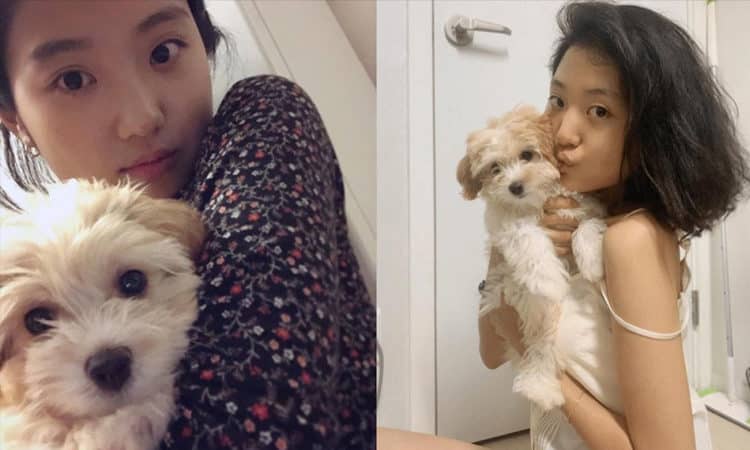 Song Hee Jun es acusada de abandonar a su mascota