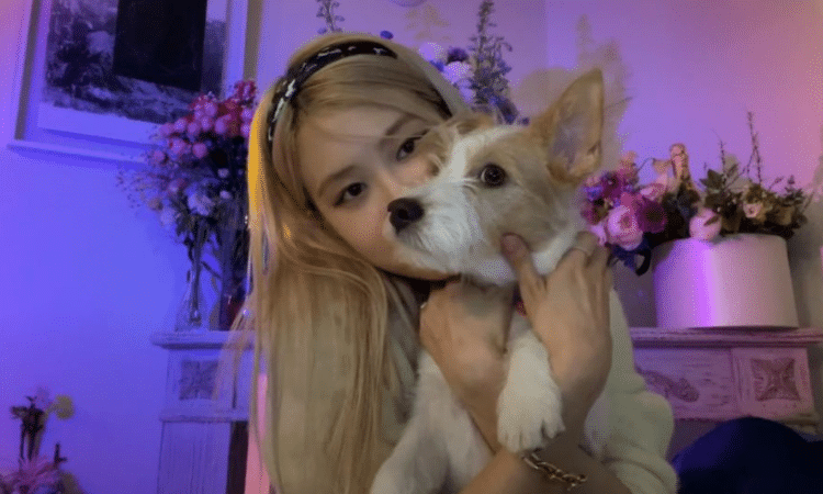 Rosé de BLACKPINK narra la conmovedora historia tras la adopción de su perro 'Hank'