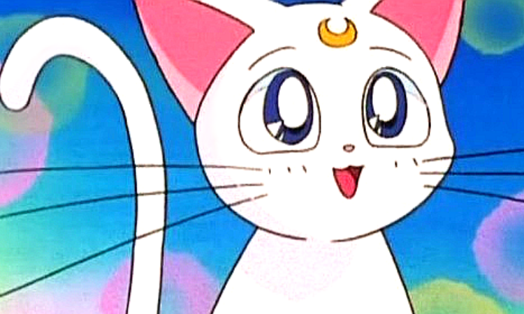 ¿Quién es Artemis, el icónico gato de Sailor Moon?