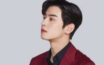 Cha Eun Woo para Noona Holdak Chicken